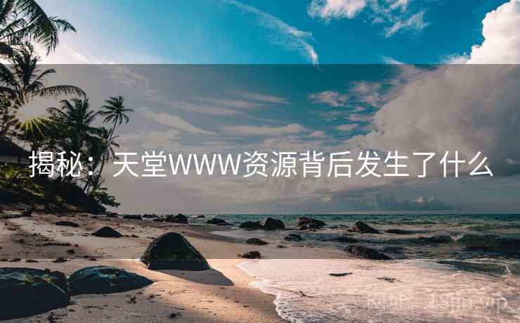 揭秘：天堂WWW资源背后发生了什么