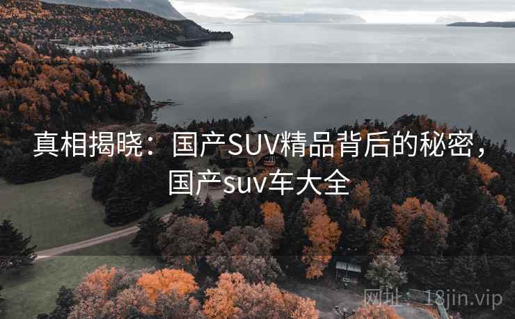 真相揭晓:国产SUV精品背后的秘密,国产suv车大全